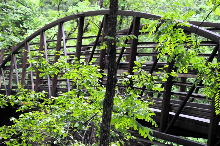 Foot bridge, North Mills River Recreation Area, Pisgah National Forest