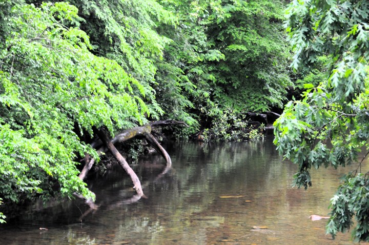 North Mills Recreation Area landscape Pisgah National Forest