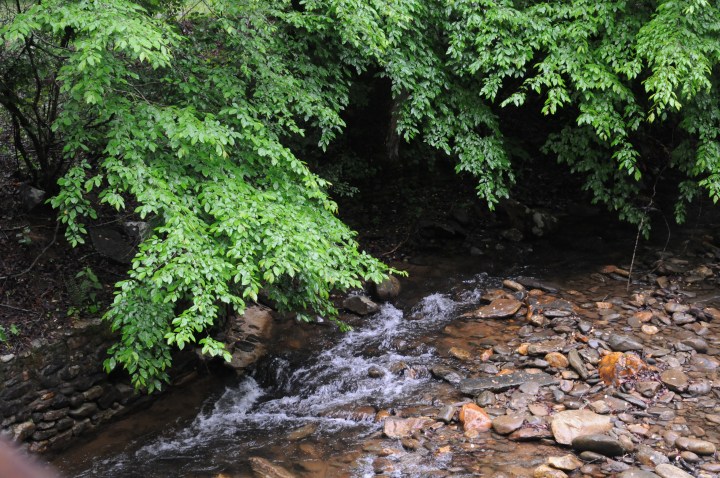 North Mills Recreation Area landscape Pisgah National Forest