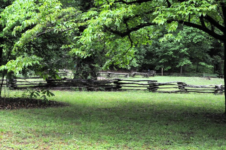 North Mills Recreation Area landscape Pisgah National Forest