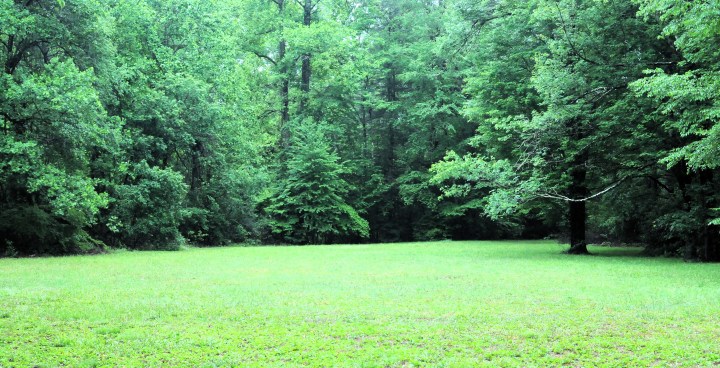 North Mills Recreation Area landscape Pisgah National Forest