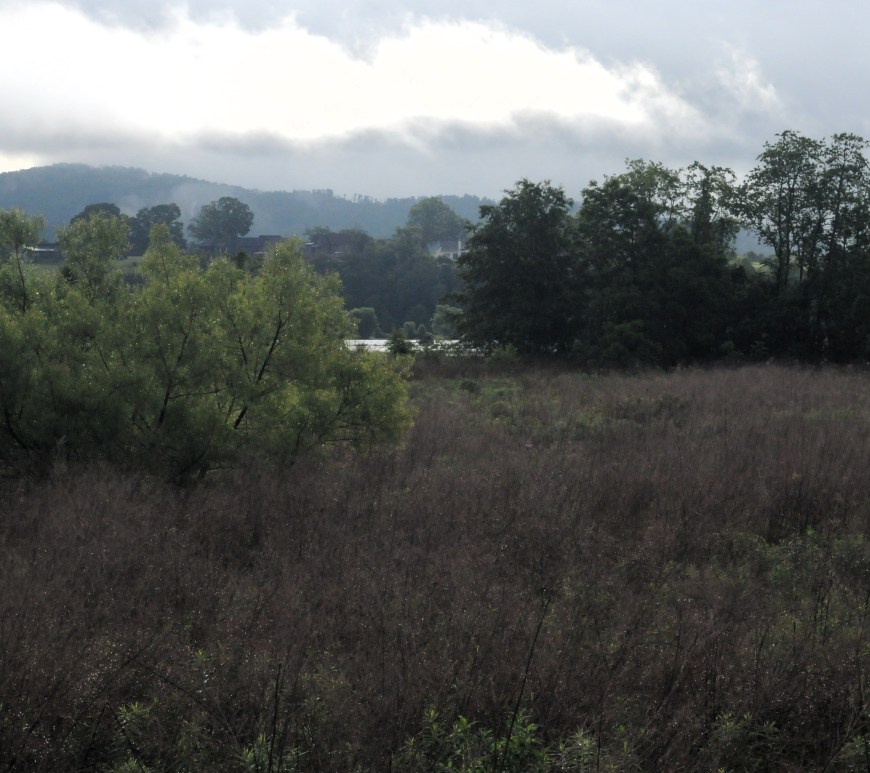 Bucolic meadow on a cloudy day with low mountains in the background