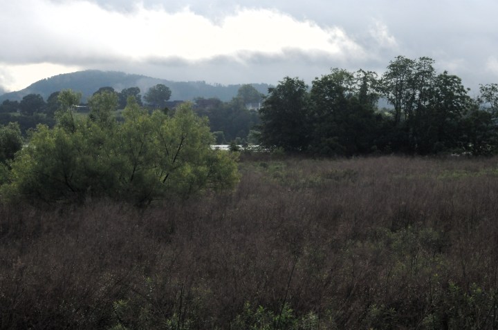 Bucolic meadow on a cloudy day with low mountains in the background