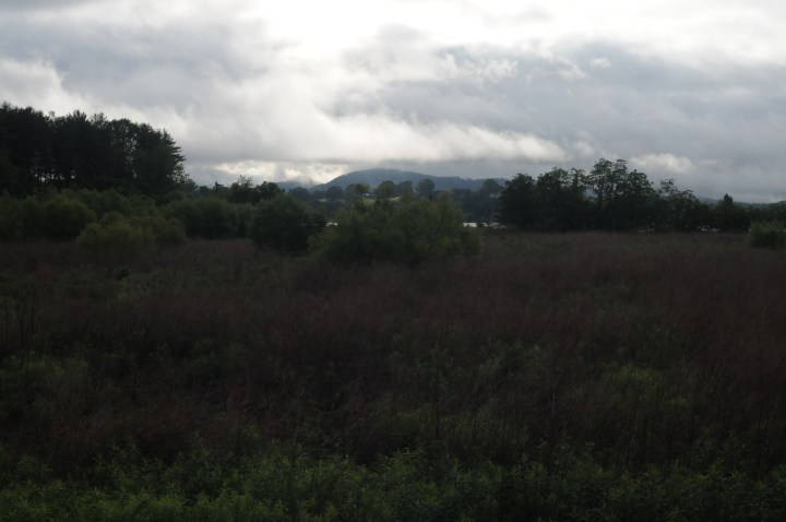 bucolic field near a farm in Mills River, NC