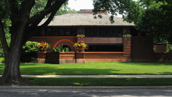 The Arthur Heurtley House (1902) shows the early emergence of Wright’s Prairie style. Notably, the ochre color palette explodes against the lush foliage that is everywhere in this neighborhood.